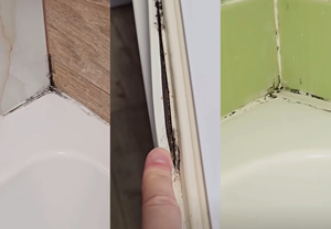 Чёрные швы, белые разводы и запах сырости: почему в ванной появляется плесень и как её победить?  Научный взгляд на бытовую проблему.