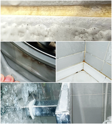 Проблемы известкового налёта и плесени в ванной