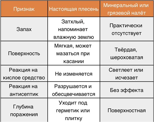 Отличие плесени от налёта