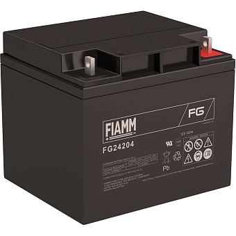 Аккумуляторная батарея FIAMM FG24204