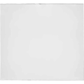 Поликарбонатная пластина защитная ПТК 00000018266