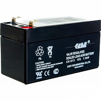Аккумуляторная батарея CASIL CA1213